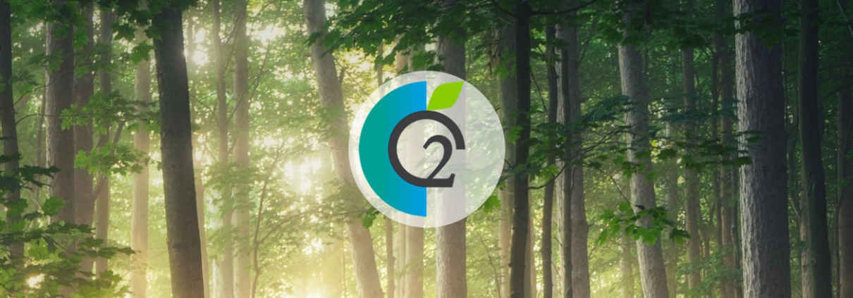 ClimaCoin Logo vor Wald