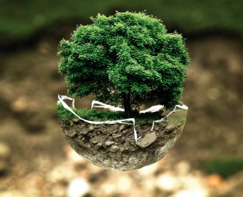 Greenwashing