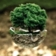 Greenwashing